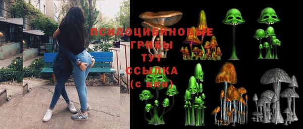 прущий лед Козельск